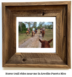 horse trail rides near me in Arecibo, Puerto Rico